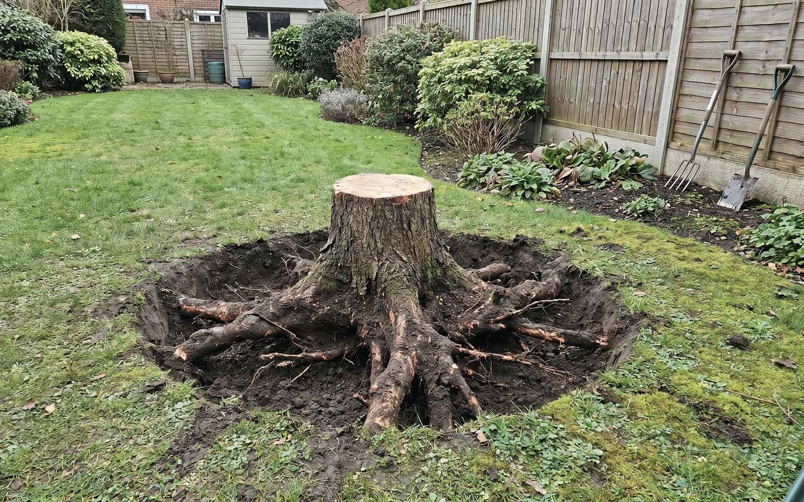ARG Tree Surgery Work