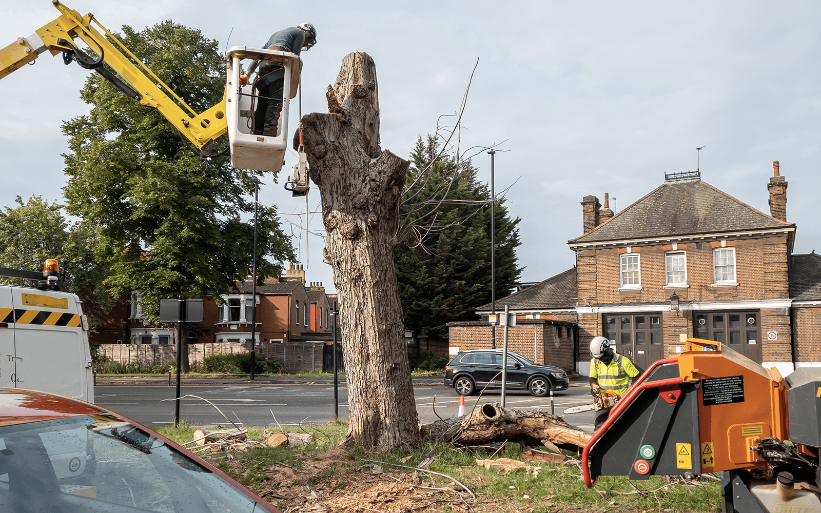 ARG Tree Surgery Work