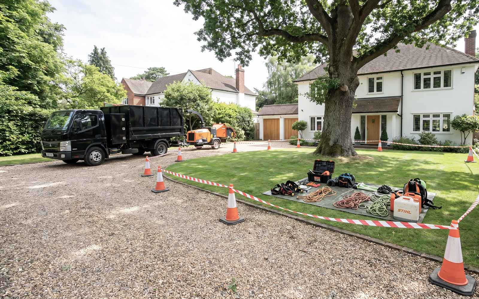 ARG Tree Surgery Work