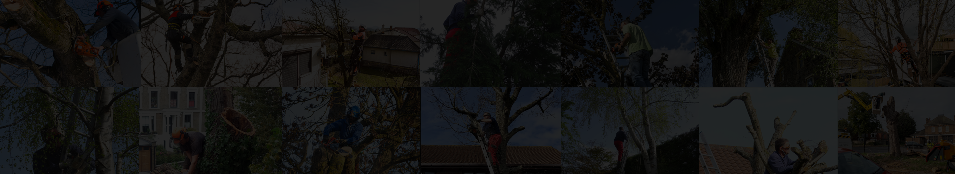 ARG Tree Surgery